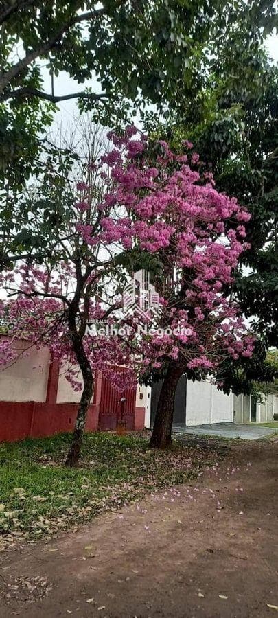 Casa à venda em Piracicaba, Ondinhas, com 3 quartos, com 300 m²