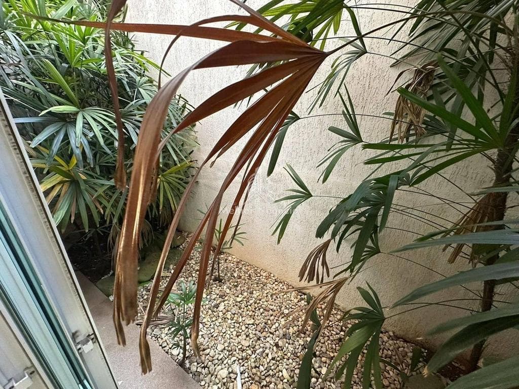Casa à venda em Campinas, Jardim Chapadão, com 4 quartos, com 459 m² — foto 7