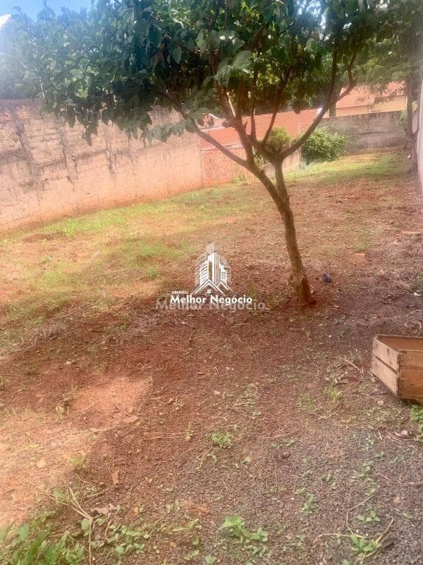 Terreno à venda em Campinas, Cidade Universitária, com 500 m² — foto 4