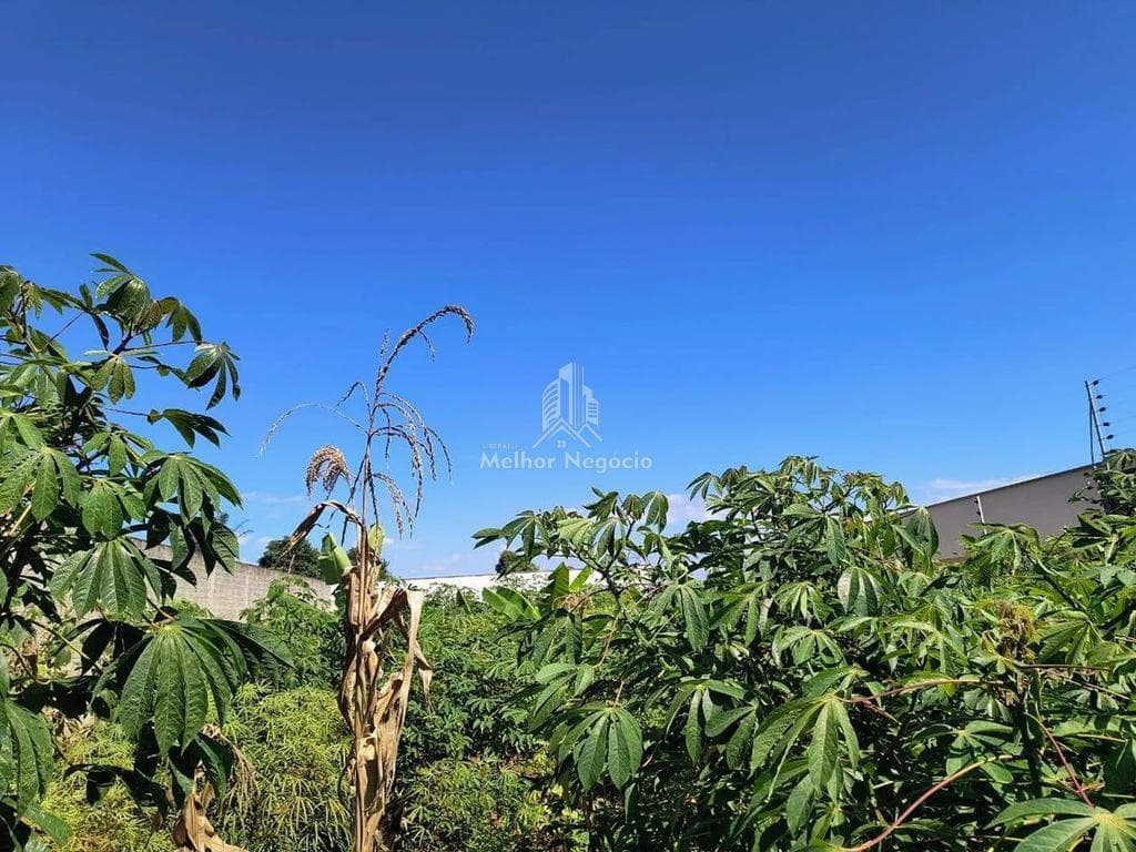 Terreno à venda em Rio das Pedras, Centro, com 360 m² — foto 10
