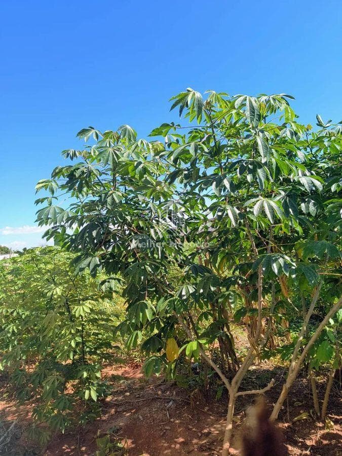 Terreno à venda em Rio das Pedras, Centro, com 360 m² — foto 7