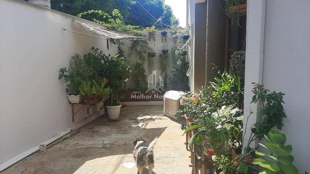 Casa à venda em Sumaré, Vila Miranda, com 3 quartos, com 130 m² — foto 3