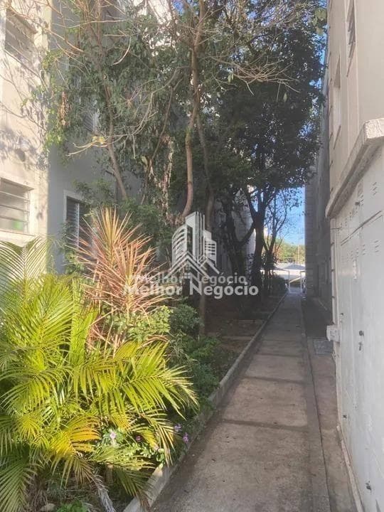 Apartamento à venda em Hortolândia, Chácaras Fazenda Coelho, com 2 quartos, com 49 m² — foto 5
