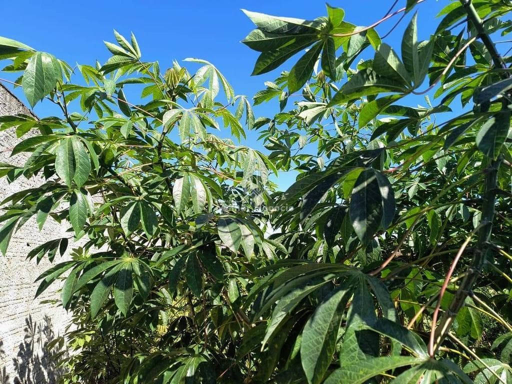 Terreno à venda em Rio das Pedras, Centro, com 360 m² — foto 6